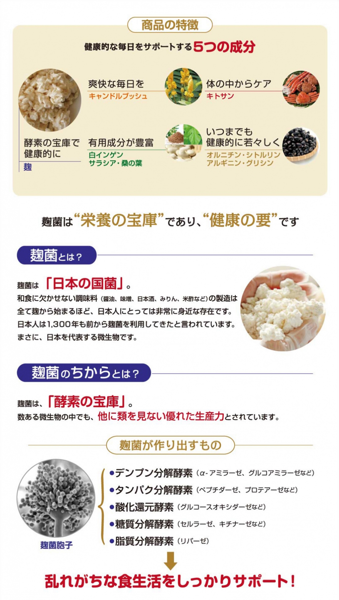 アイヘルスラボグッドナイト ダイエット
AI HEALTH LAB Good Night Diet