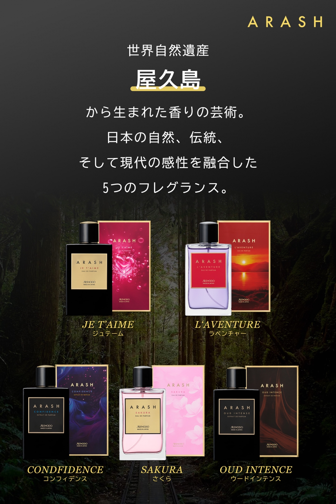 ARASH　香水　CONDFIDENCE　（コンフィデンス）